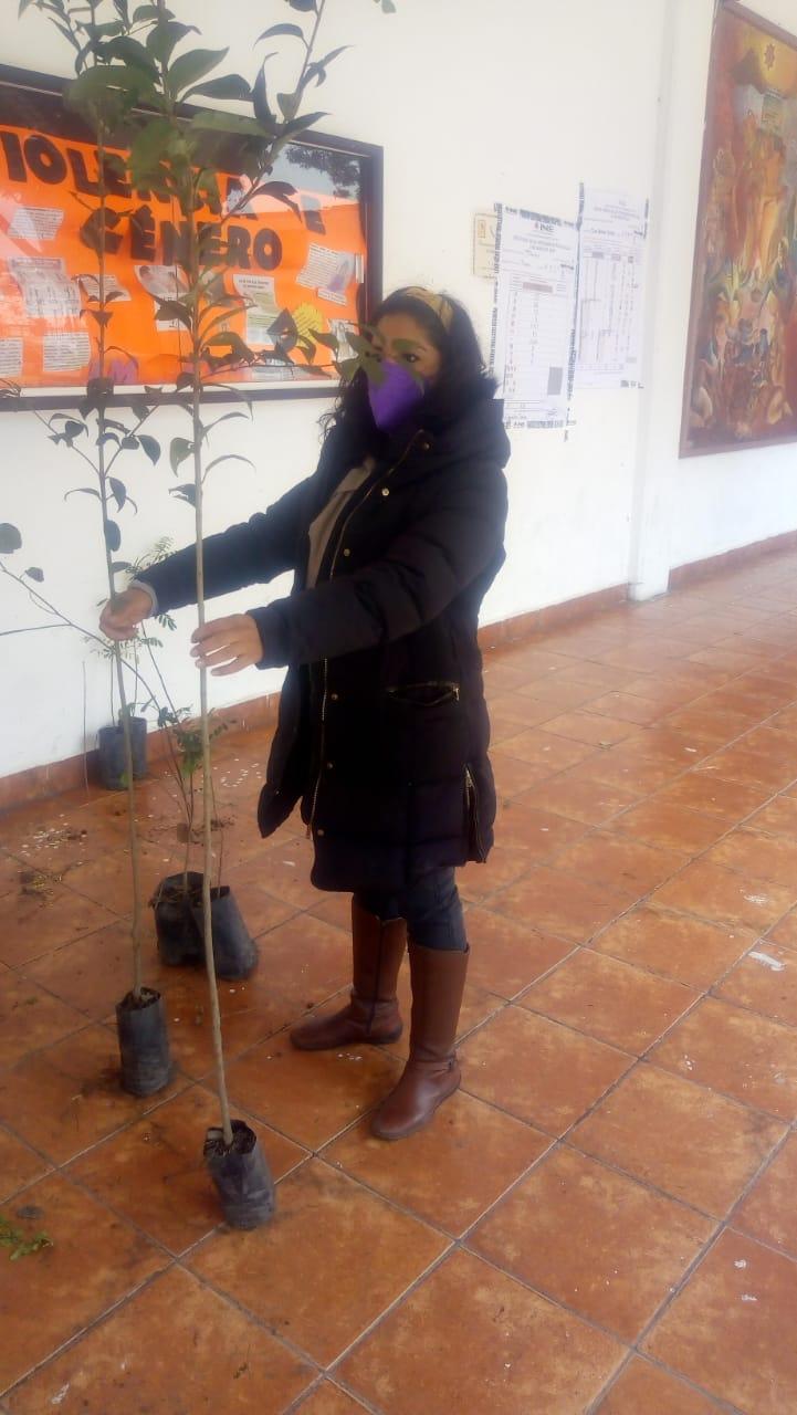 Ciudadanos de Texoloc se suman  la campaña de adopción de árboles