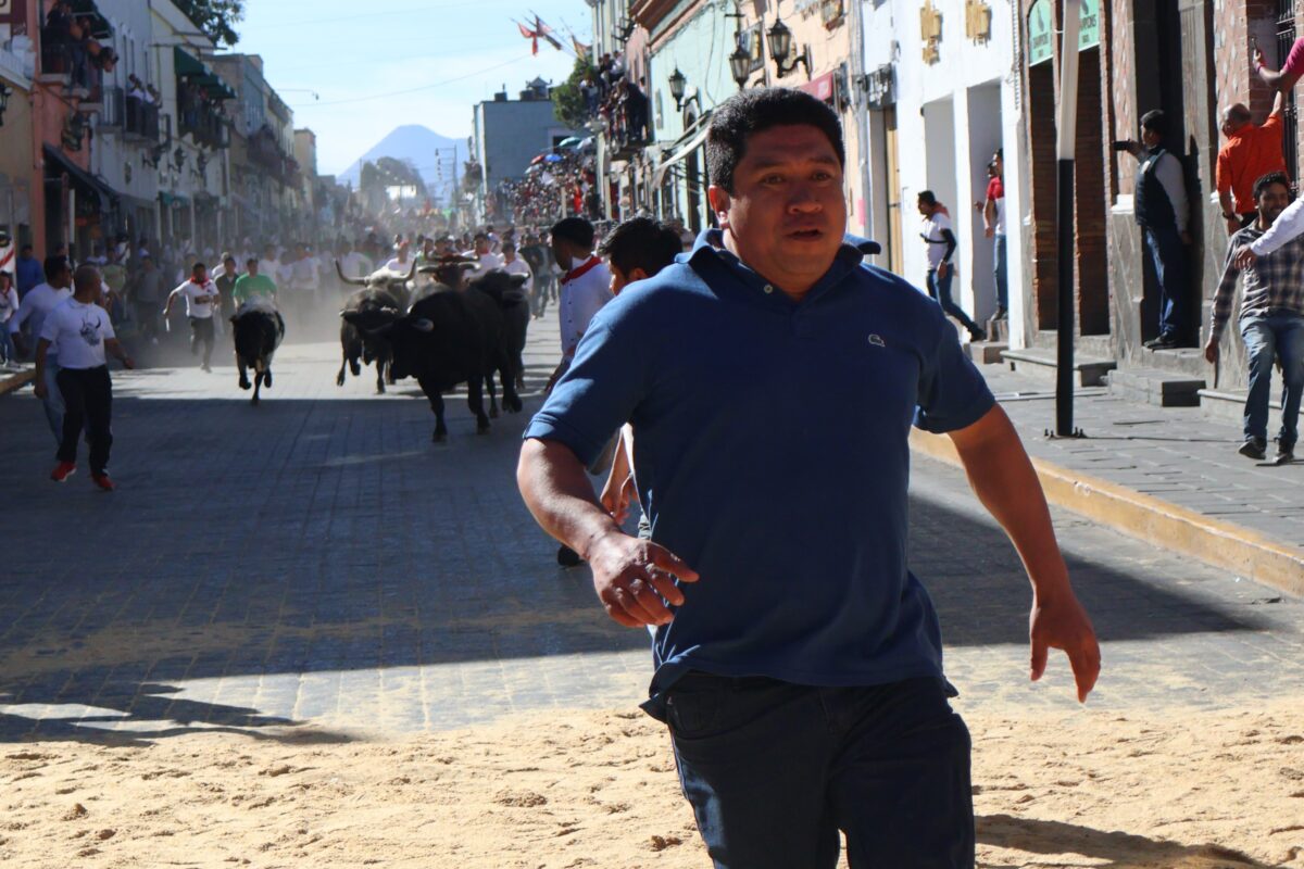 Toros al estilo Pamplona