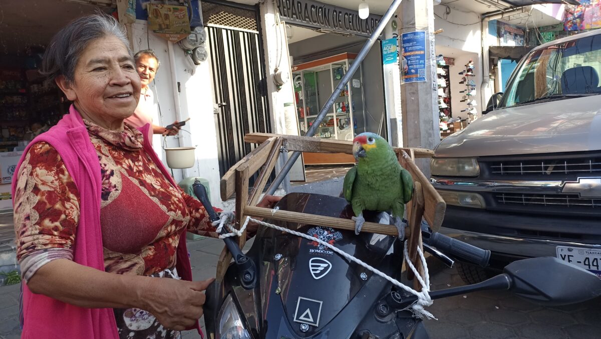 Familia de Chiautempan,  realiza sus actividades cotidianas acompañados por su mascota “Pepe”