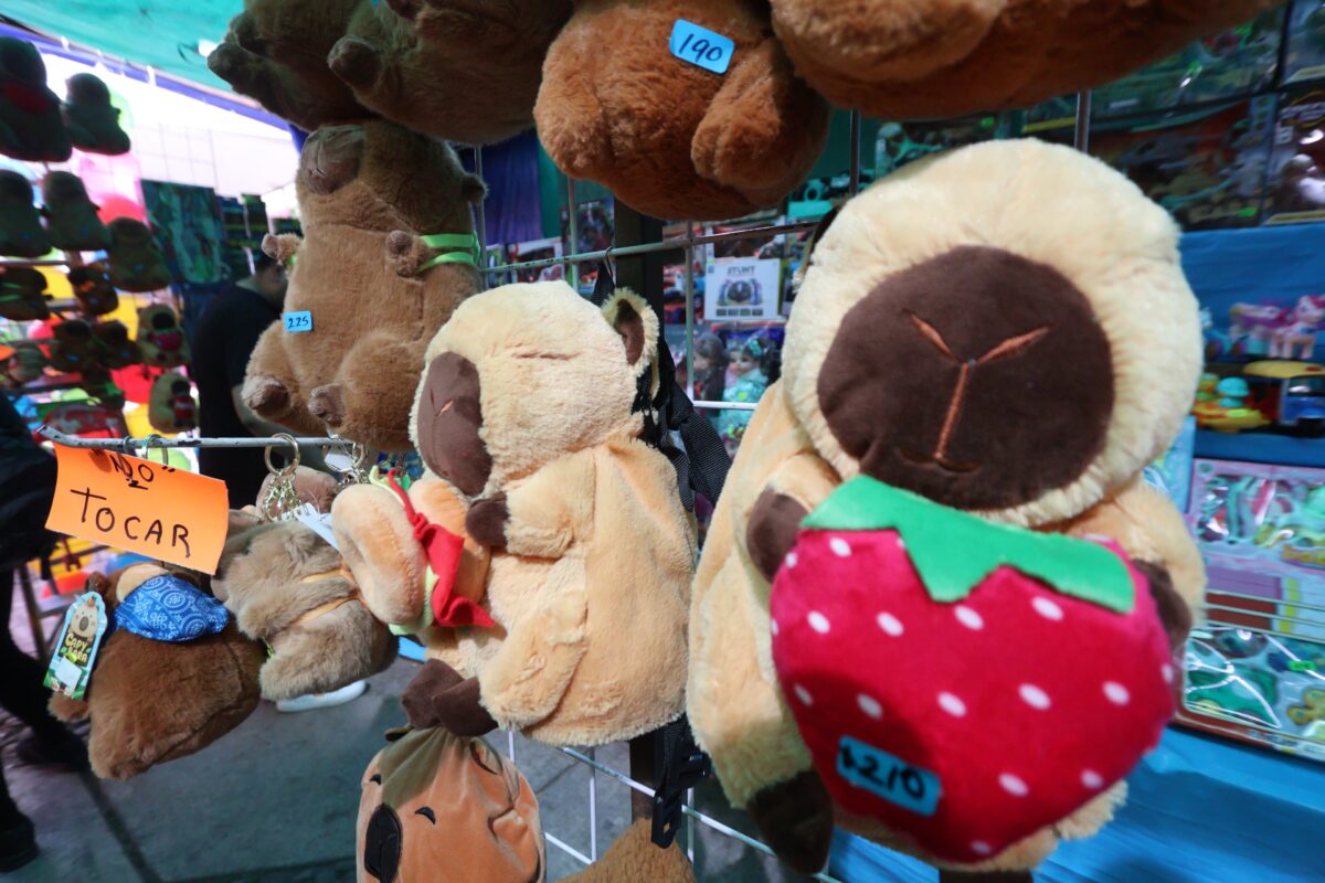 Juguetes para el “día de reyes”, entre los más populares se encuentran los peluches o figuras de capibara