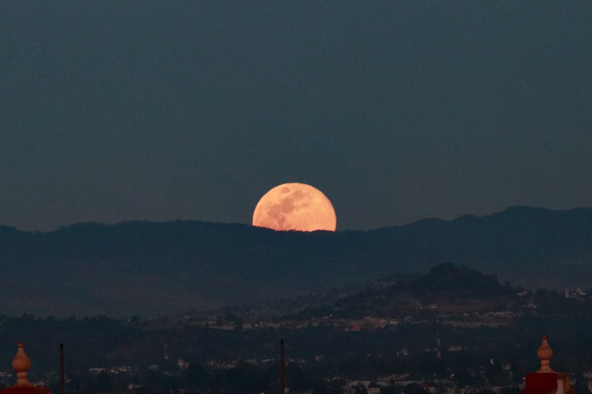 “luna del lobo”