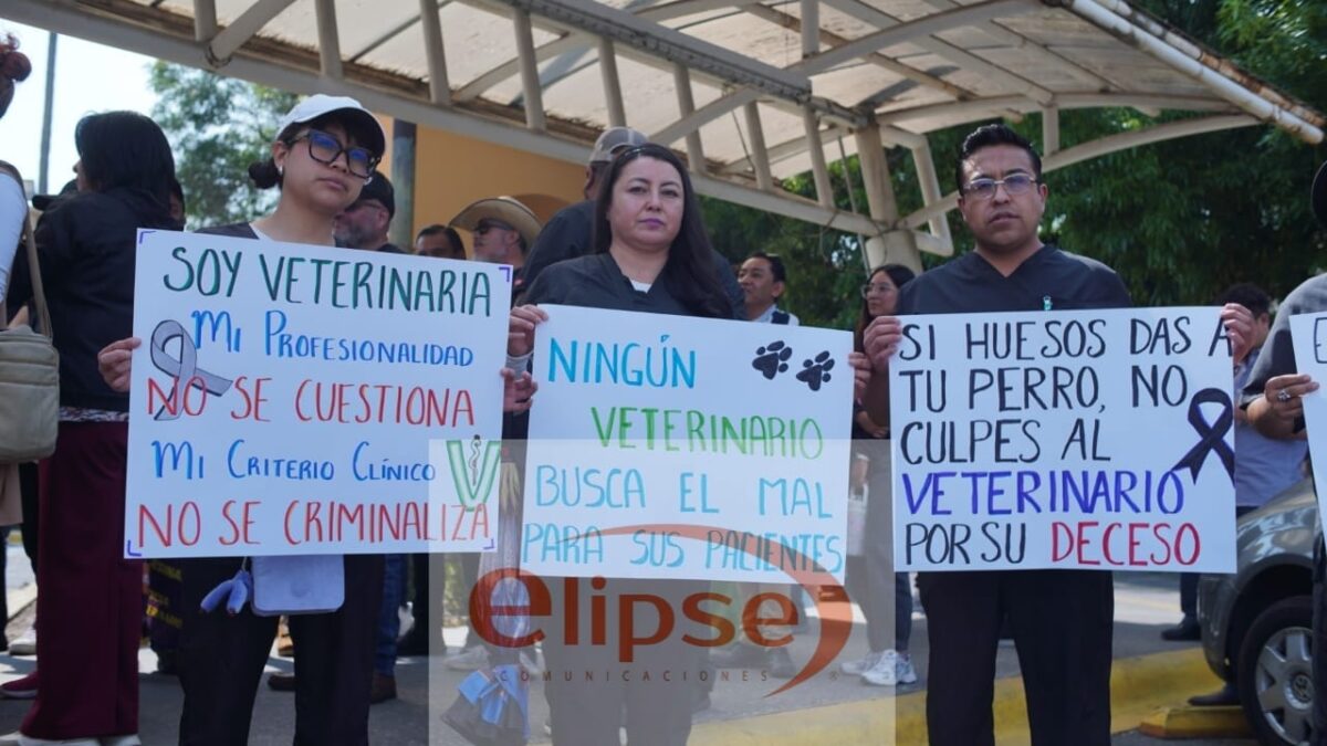 Dignificación de los Médicos Veterinarios