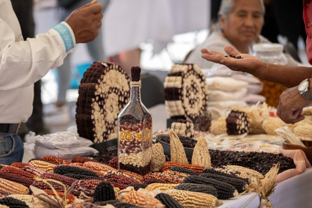 Como parte de la “Feria del Maiz nativo”, que se realiza en Santa Ana Chiautempan, Tlaxcala,