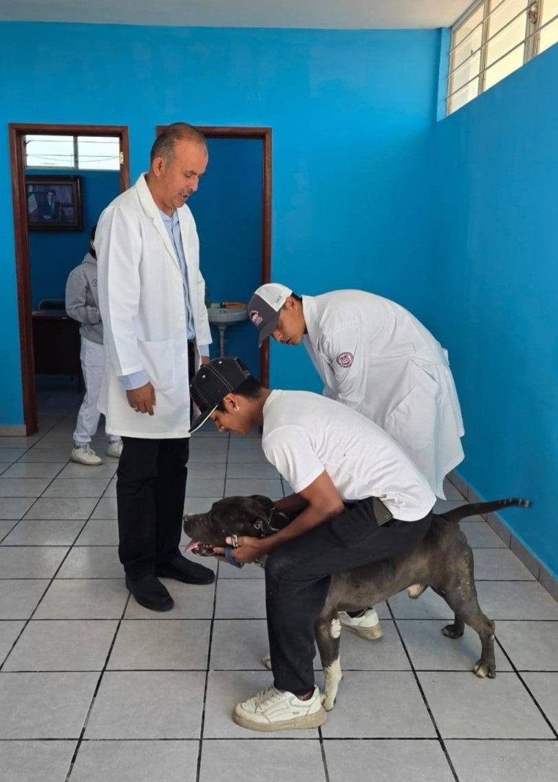 Facultades de Agrobiología y Ciencias de la Salud UATx     refuerzan campaña de vacunación antirrábica 2025