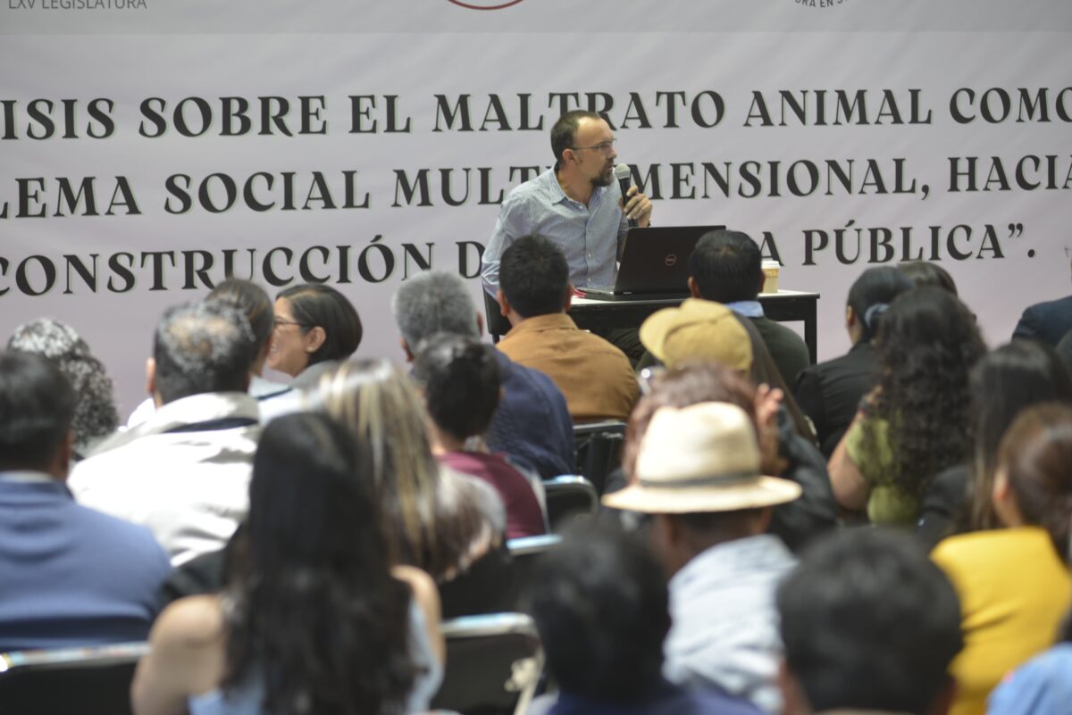 Análisis sobre el maltrato animal como problema social multidimensional, hacia la construcción de política pública