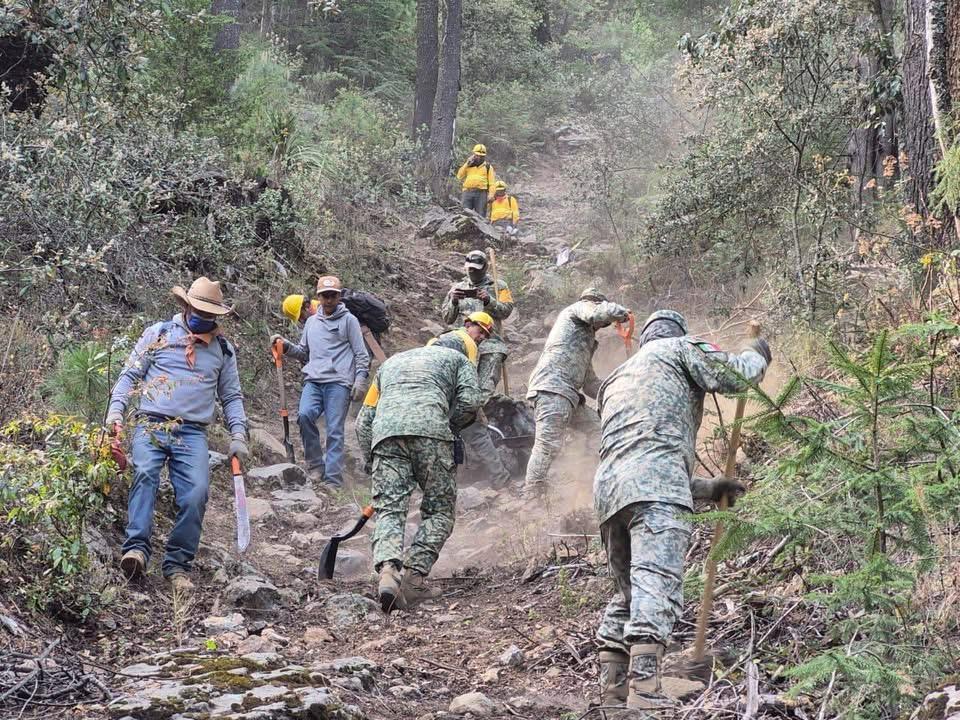 SE LOGRA LIQUIDACIÓN DEL INCENDIO EN EL CERRO DE SAN GABRIEL ATLTZAYANCA*