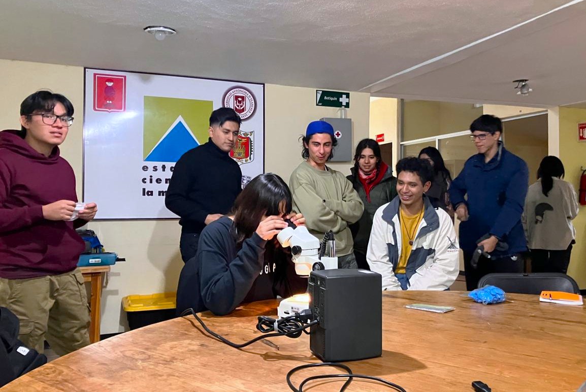 Mantiene CTBC-UATx actividad permanente en  estudio de anfibios y reptiles nativos de Tlaxcala   