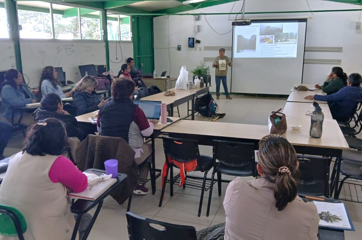 Investigadores UATx impartieron curso en CBTA 134     sobre propagación vegetal y uso de hongos en la reforestación