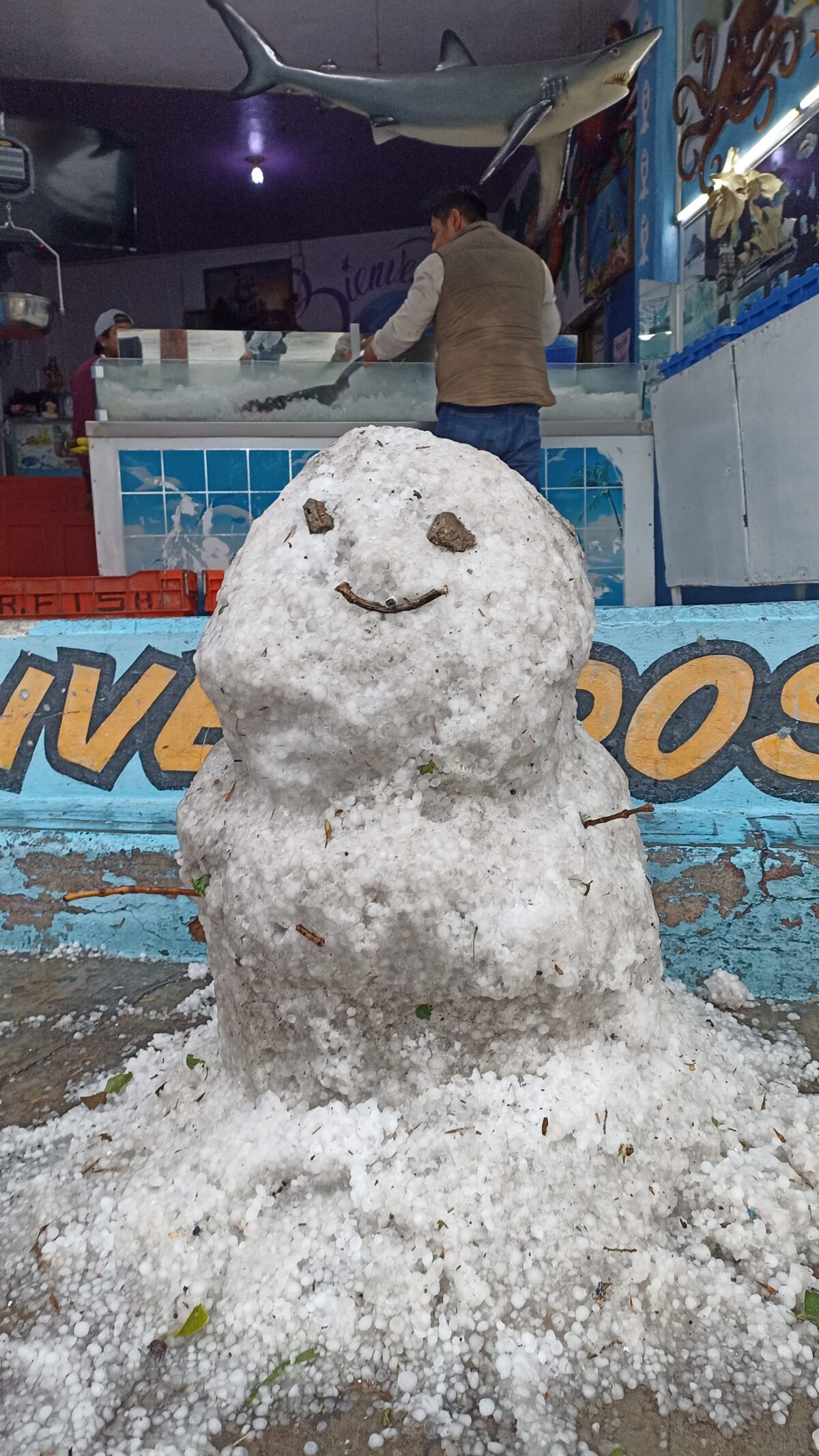 Algunos puntos de la ciudad de Tlaxcala quedaron tapizados de hojas de árboles afectados por el granizo
