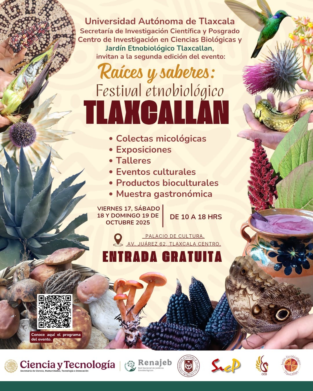 El JET-UATx promueve, comparte y revitaliza   los conocimientos de comunidades originarias de Tlaxcala