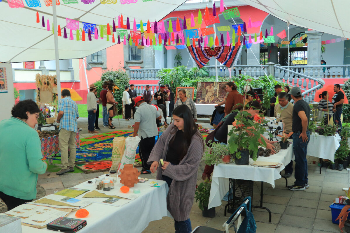 JET-UATx promueve el patrimonio biocultural  con preponderancia en los saberes ancestrales