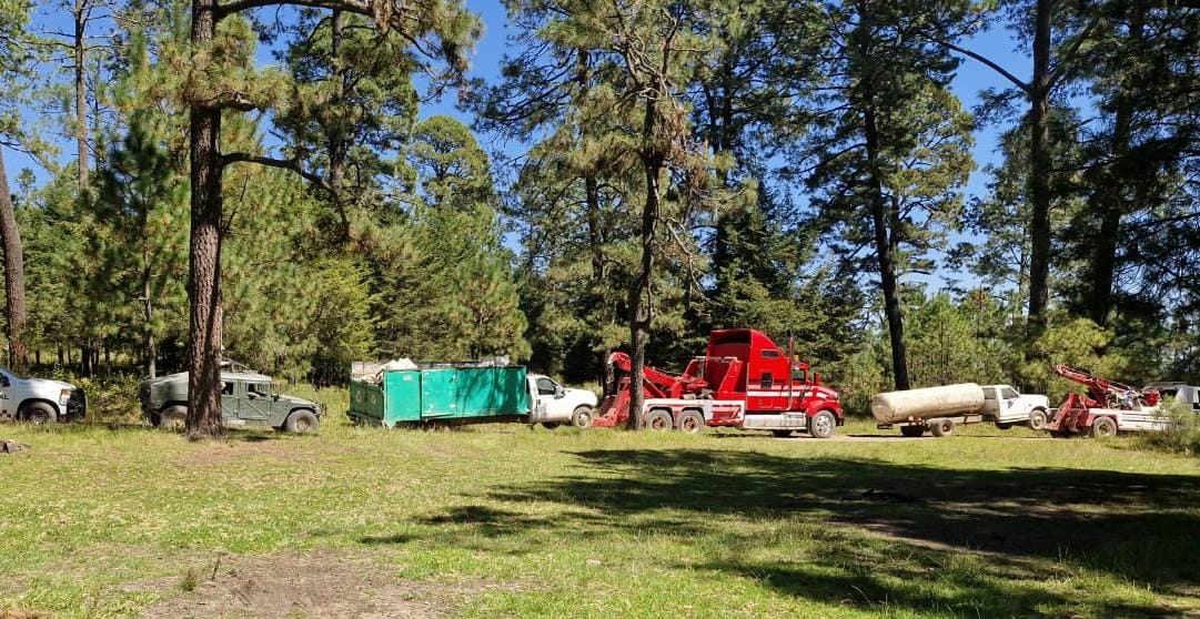 Robado (huachigas) en un camino de terracería de San Felipe Hidalgo, en Nanacamilpa