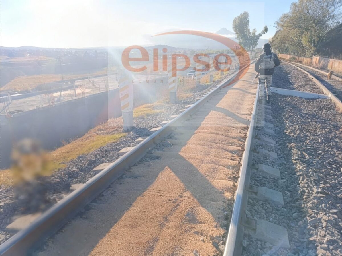 Frustran robo al tren en los límites de Yauhquemehcan y Apizaco; aseguran toneladas de trigo