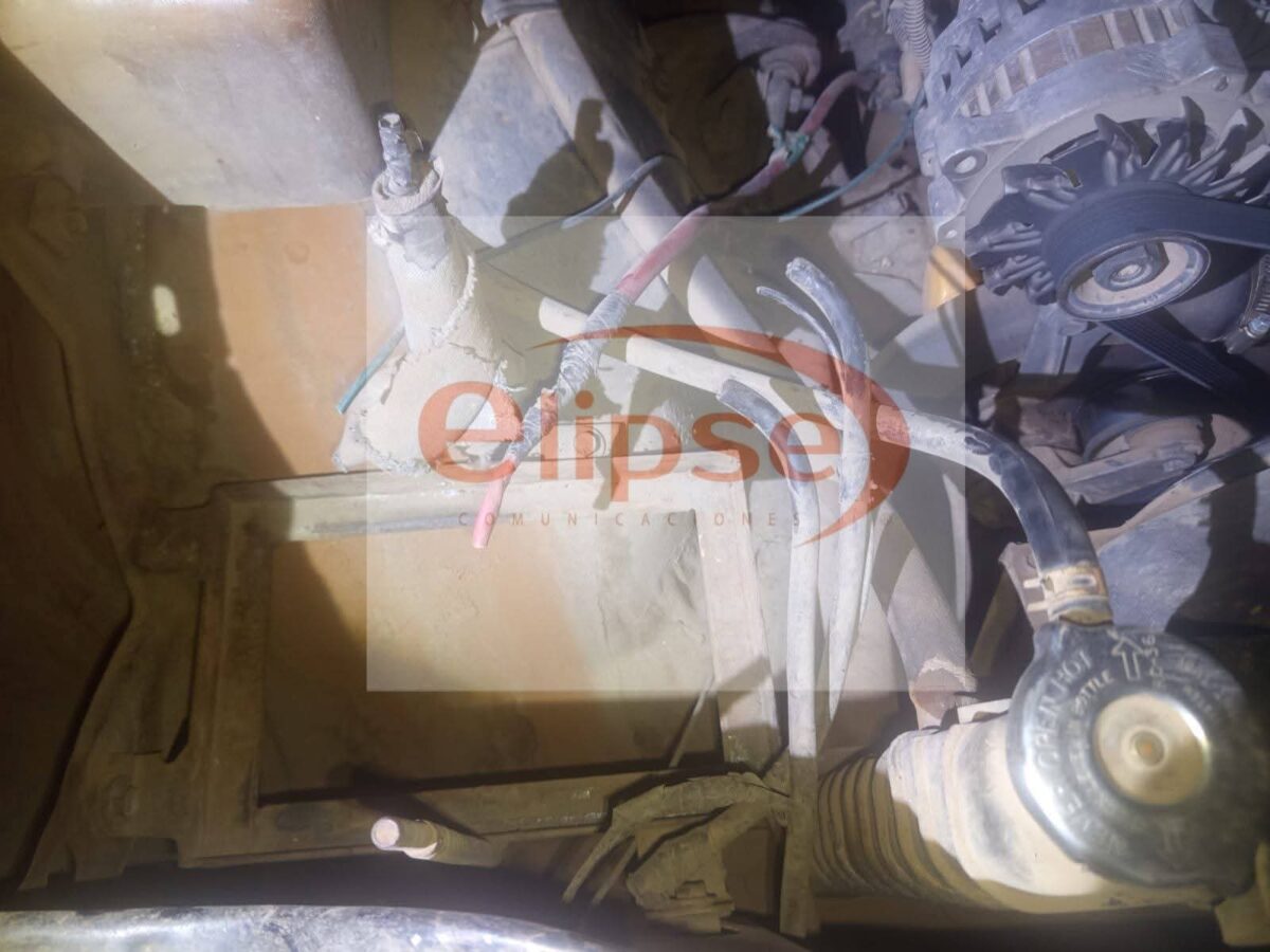 Comando armado “vacía” rancho en Terrenate: roban 75 cabezas de ganado y amarran al cuidador