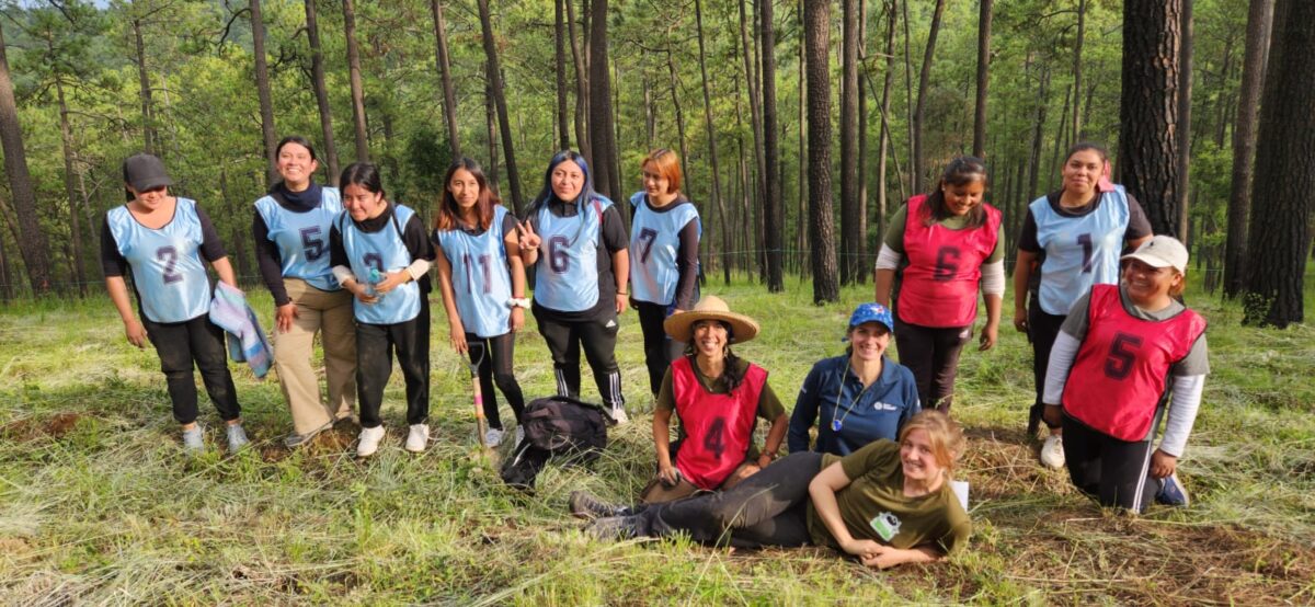 Primer jornada de reforestación