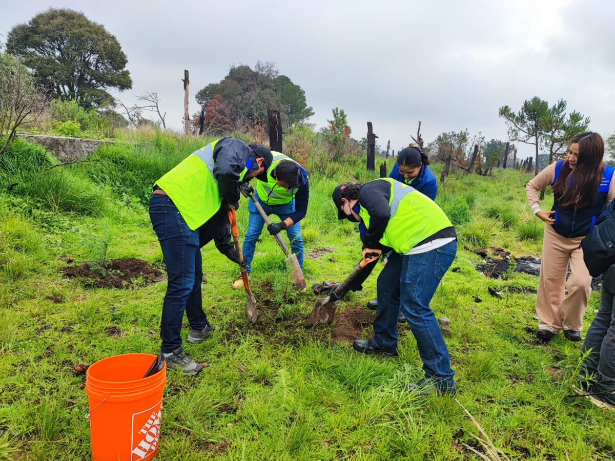 Organizaciones realizaron un reconocimiento especial al Comité Comunitario de Restauración, por la organización de las actividades y a  NOVARES