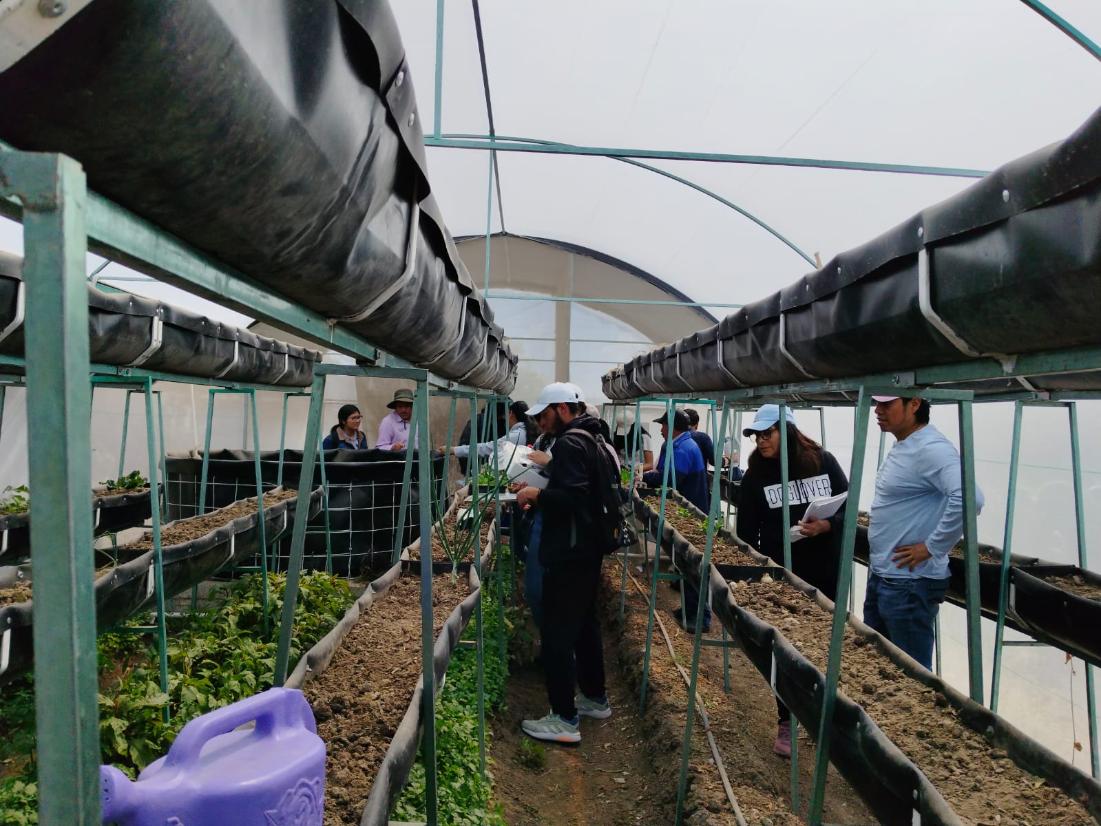 Estudiantes y docentes de Biología UATx atenderán problemas relacionados  con la producción sostenible de tilapia en Tzompantepec | Elipse Tlaxcala, image size:1599x1200