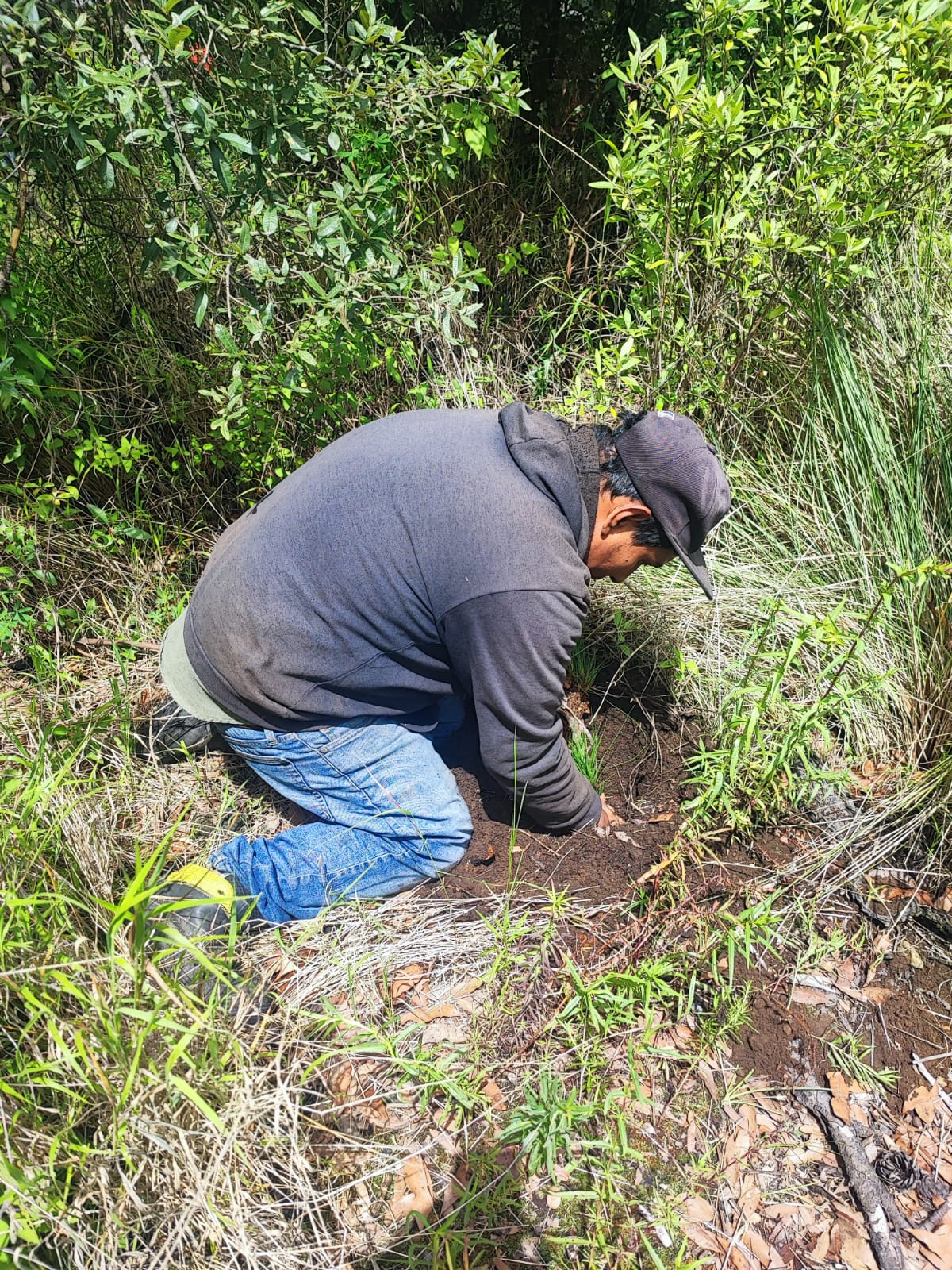 Integrantes de la agrupación denominada, “Por un Compromiso con Causa Verde”, se sumaron a la gran jornada nacional de reforestación